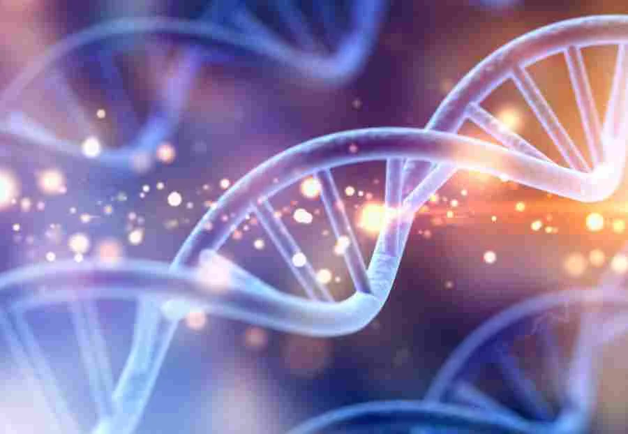 Exploring Free DNA Upload Sites: A Focus on MyHeritage