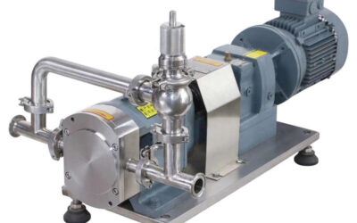 Lobe Pumps: An In-Depth Exploration