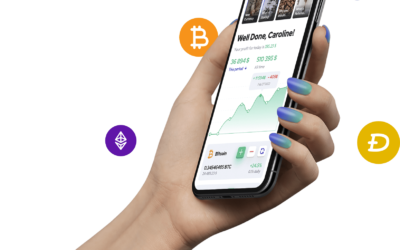 Secure Crypto Yield Platform: Why 100Solid LLC Stands Out